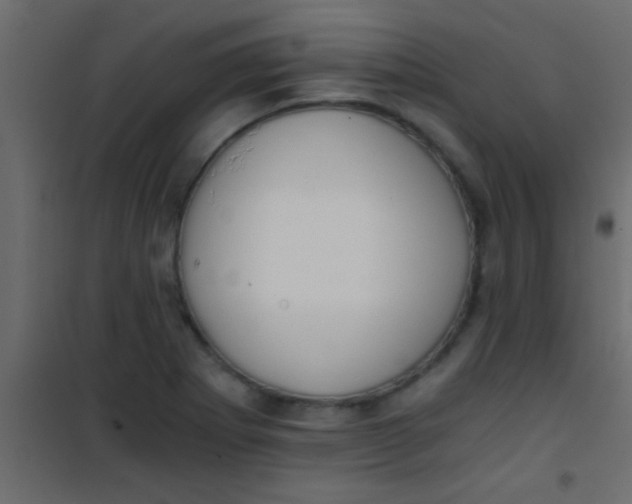X0000101111273200807171928