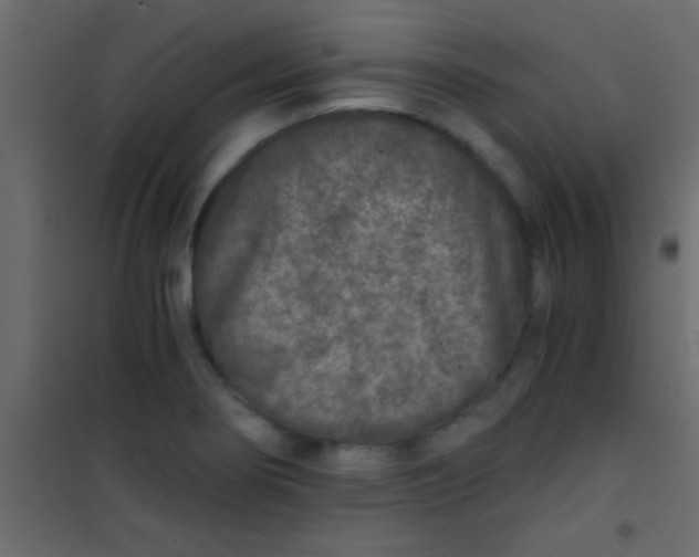 X0000101111274200807171928