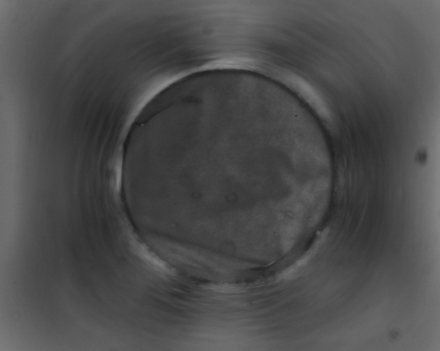 X0000101111276200807171928