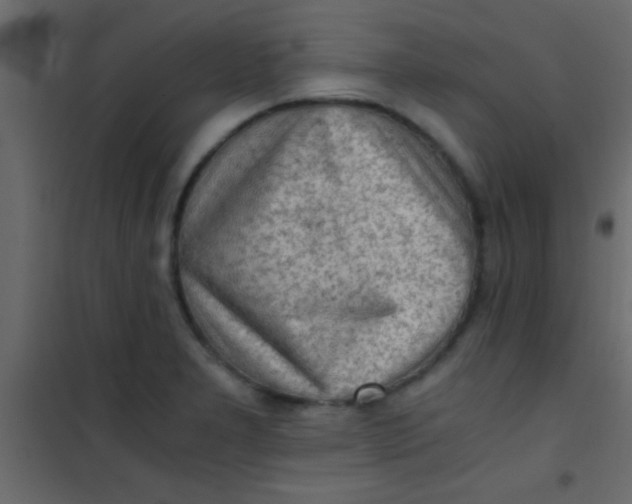 X0000101111277200807171928