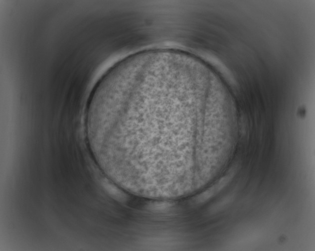 X0000101111278200807171928