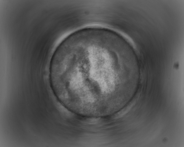 X0000101111279200807171928