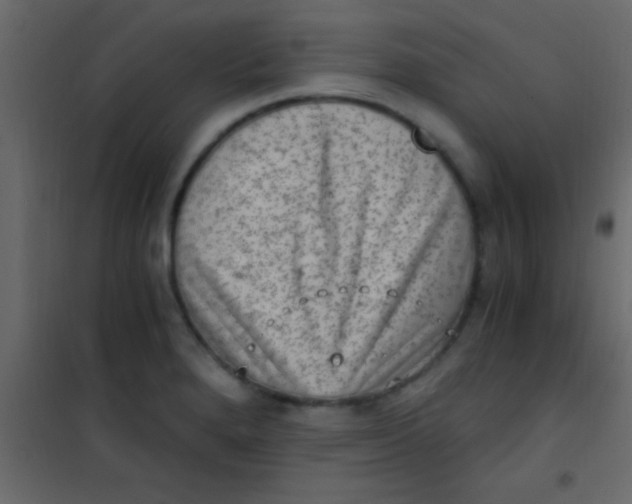 X0000101111280200807171928
