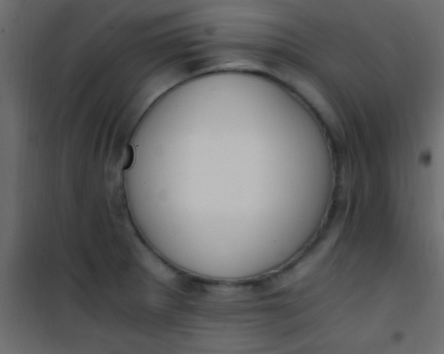 X0000101111281200807171928