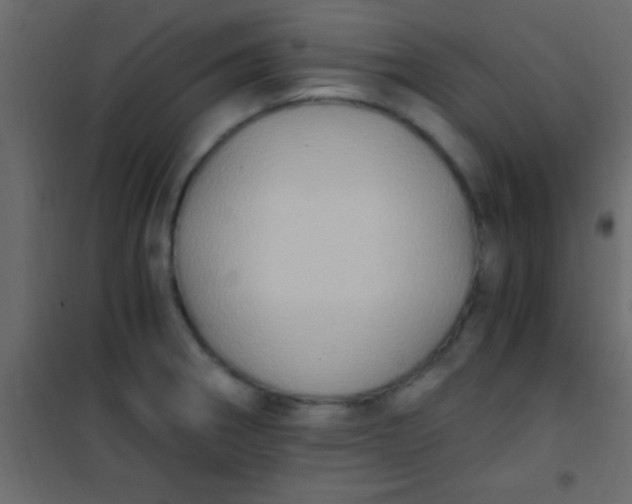X0000101111282200807171928