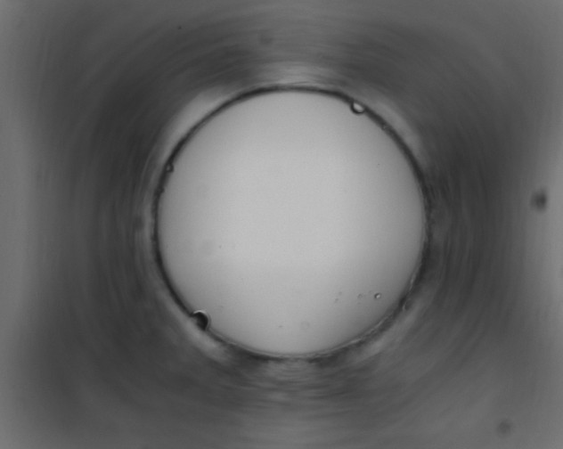 X0000101111285200807171928