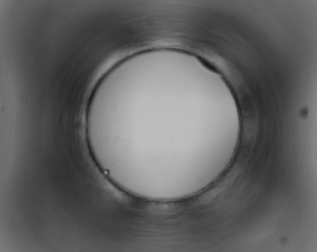 X0000101111286200807171928