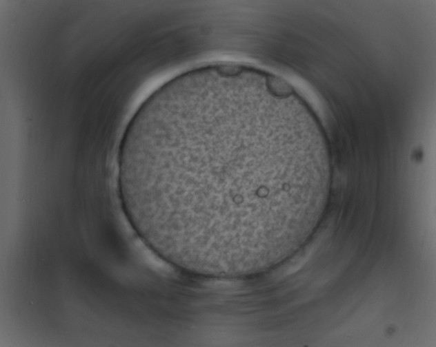 X0000101111287200807171928
