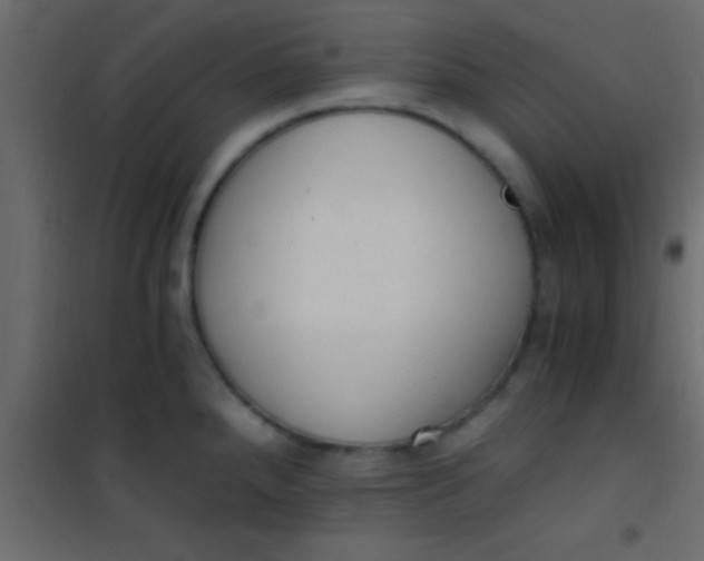 X0000101111288200807171928