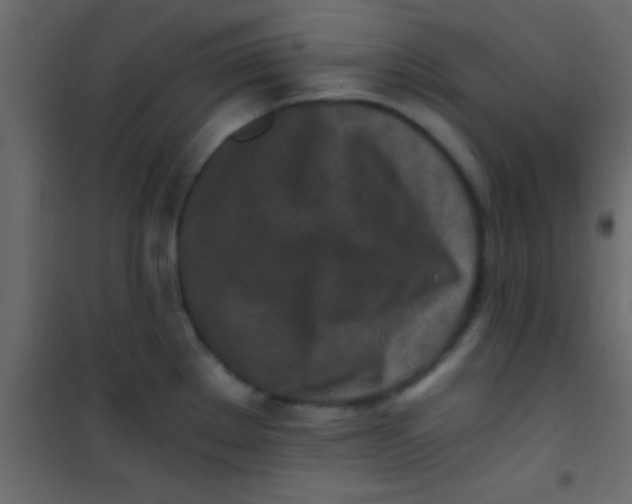 X0000101111289200807171928
