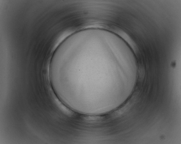 X0000101111290200807171928