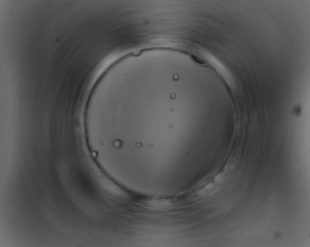 X0000101111291200807171928