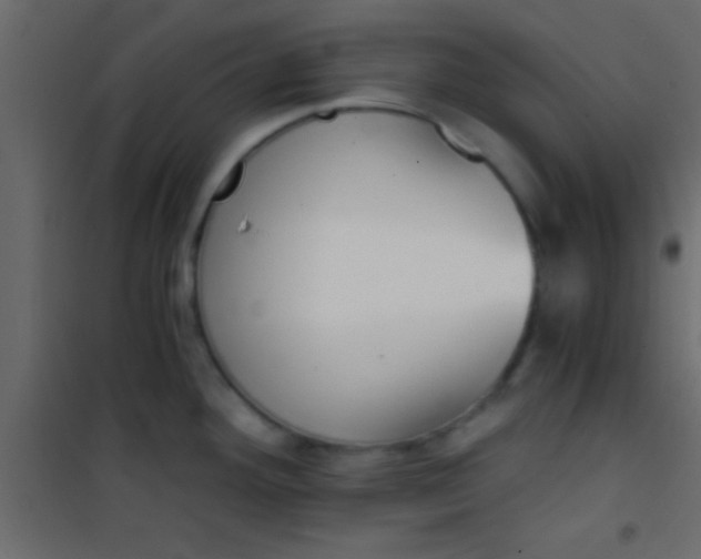 X0000101111292200807171928