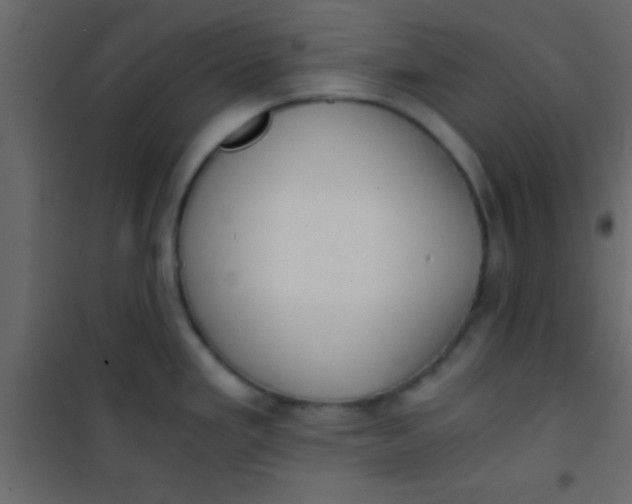 X0000101111293200807171928