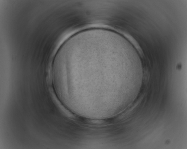 X0000101111295200807171928