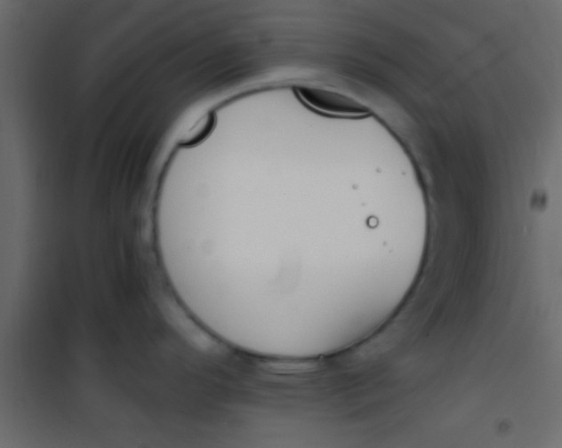 X0000101111296200807171928