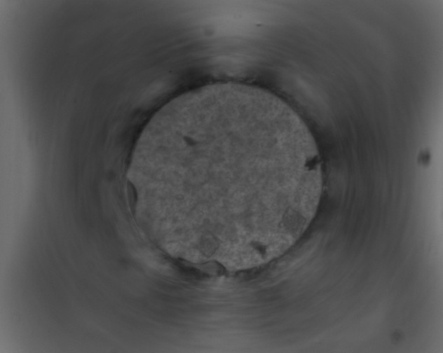 X0000101111297200807171927