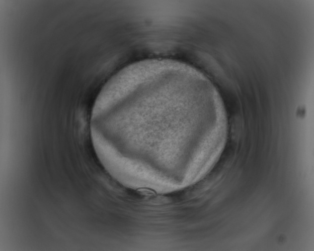 X0000101111298200807171927
