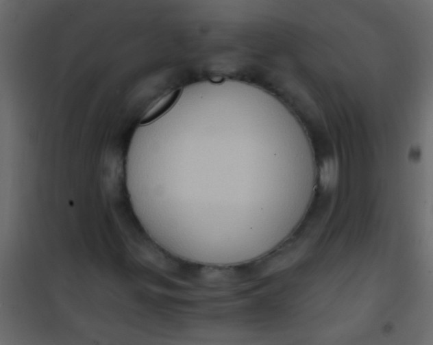 X0000101111299200807171927