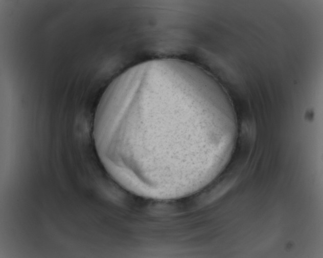 X0000101111300200807171927