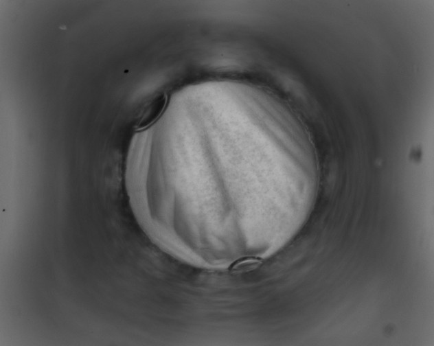 X0000101111301200807171927