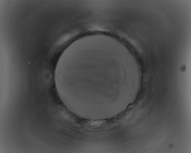 X0000101111303200807171927