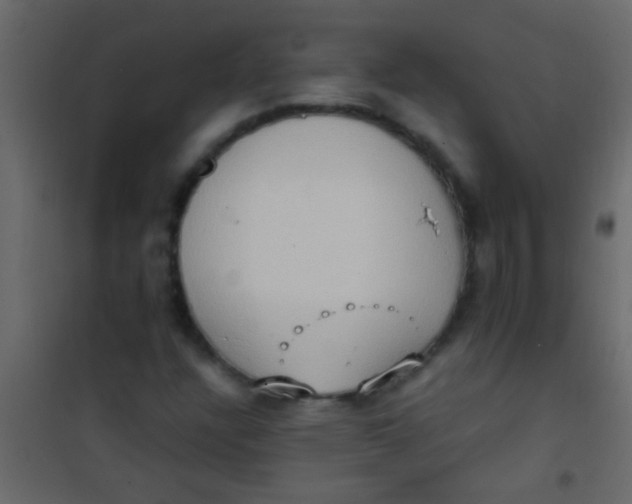 X0000101111304200807171927
