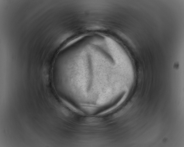 X0000101111305200807171927