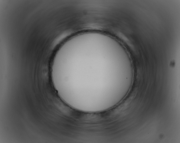 X0000101111307200807171927