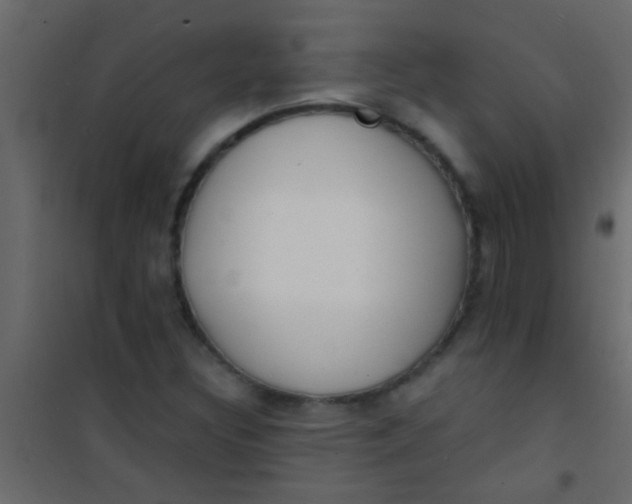 X0000101111308200807171927