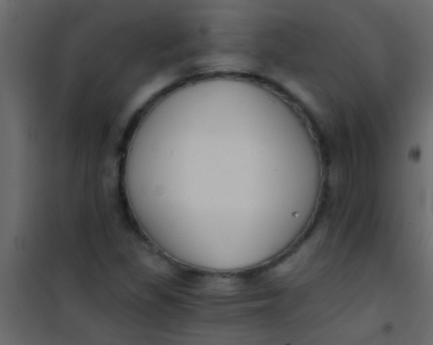 X0000101111309200807171927