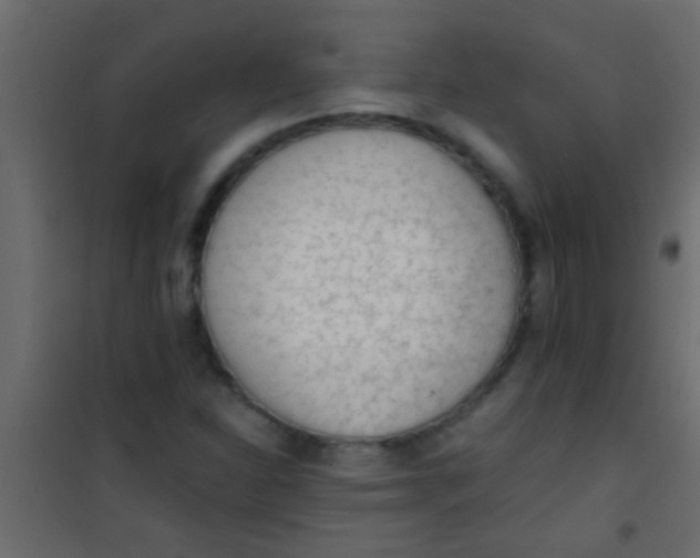 X0000101111310200807171927