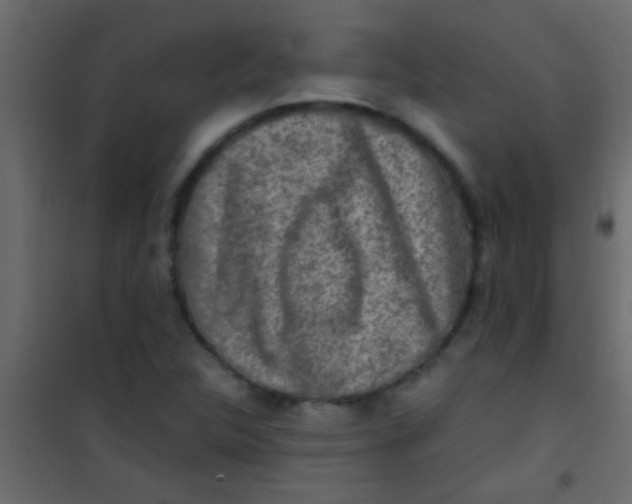 X0000101111312200807171927