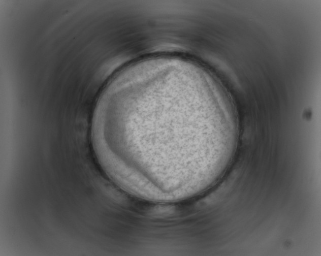 X0000101111313200807171927