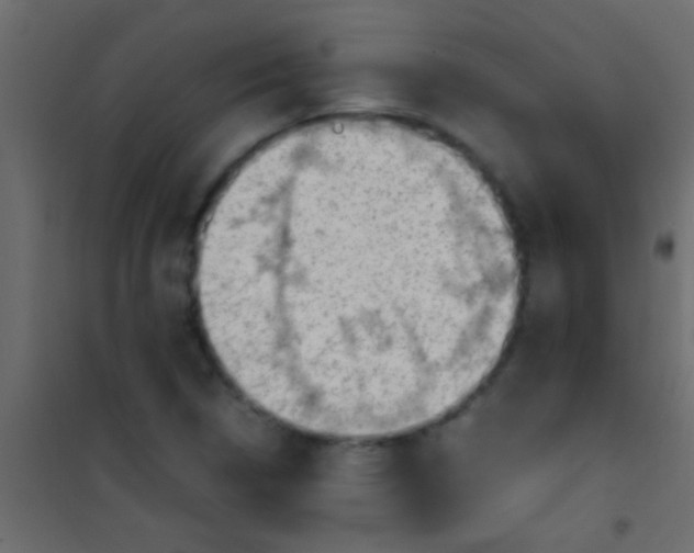 X0000101111314200807171927