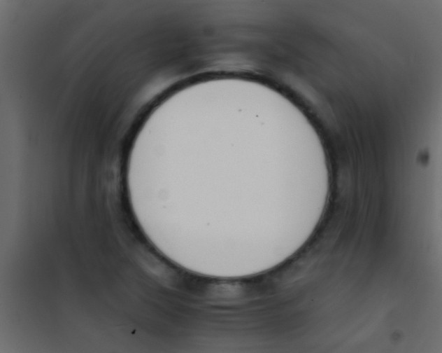 X0000101111315200807171927