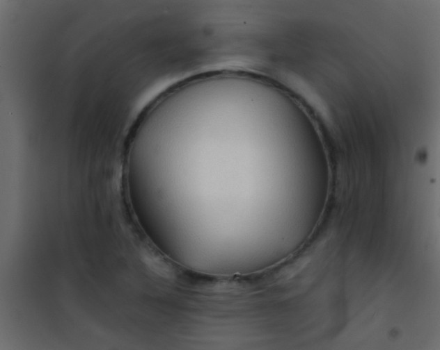 X0000101111316200807171927