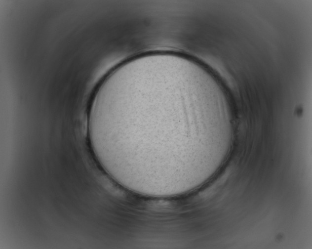 X0000101111317200807171927