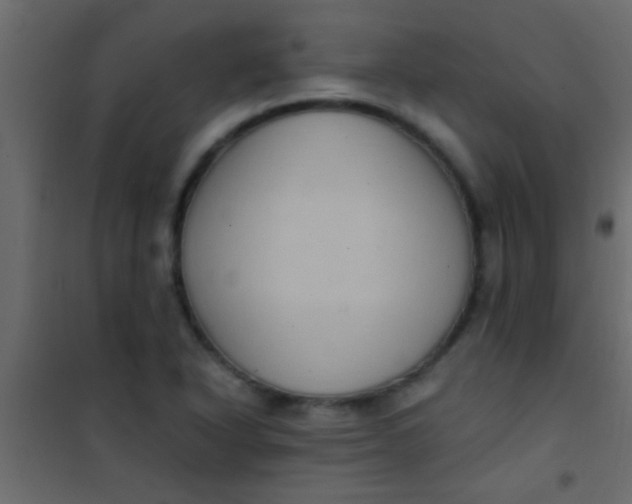 X0000101111318200807171927