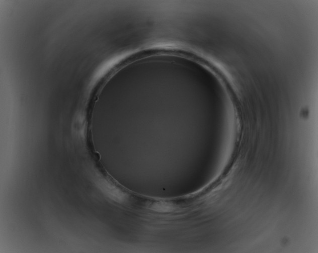 X0000101111319200807171927