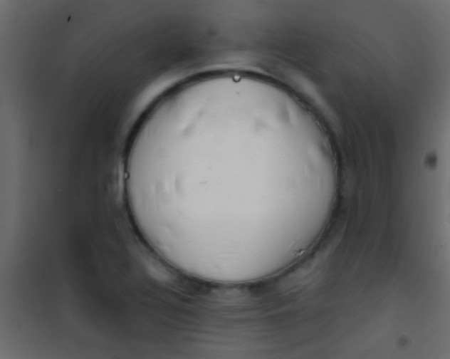 X0000101111320200807171927