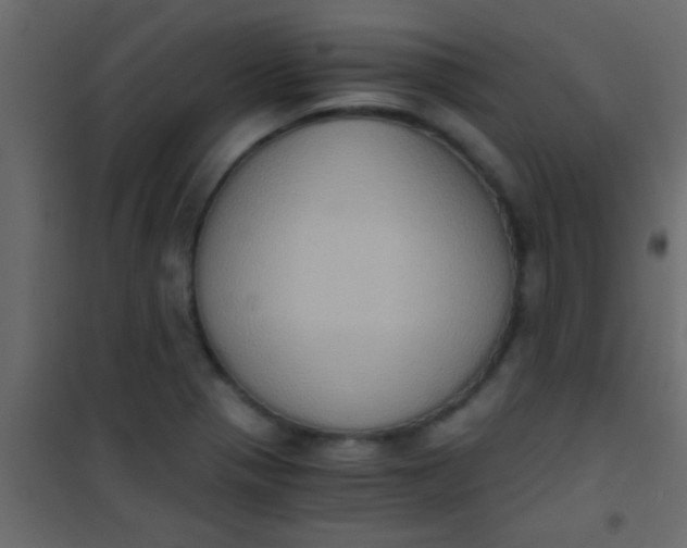 X0000101111321200807171927