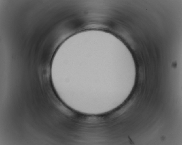 X0000101111322200807171927