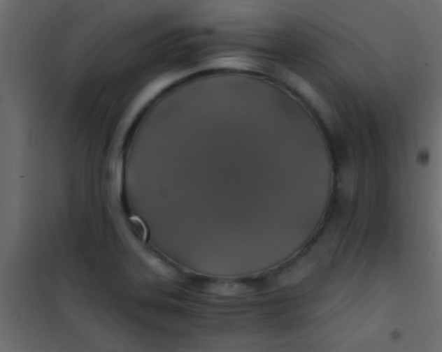 X0000101111323200807171927