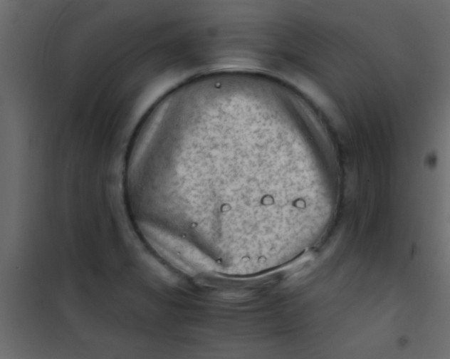 X0000101111325200807171927