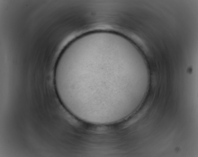 X0000101111326200807171927