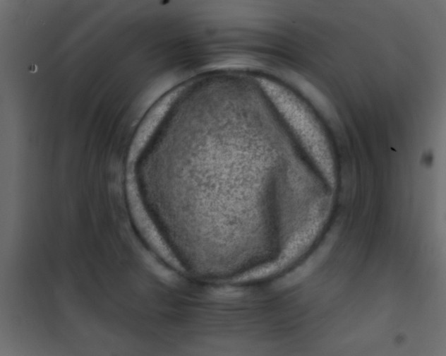 X0000101111329200807171927