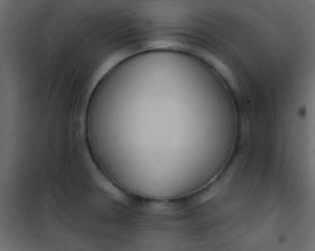 X0000101111330200807171927