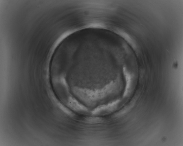 X0000101111331200807171927