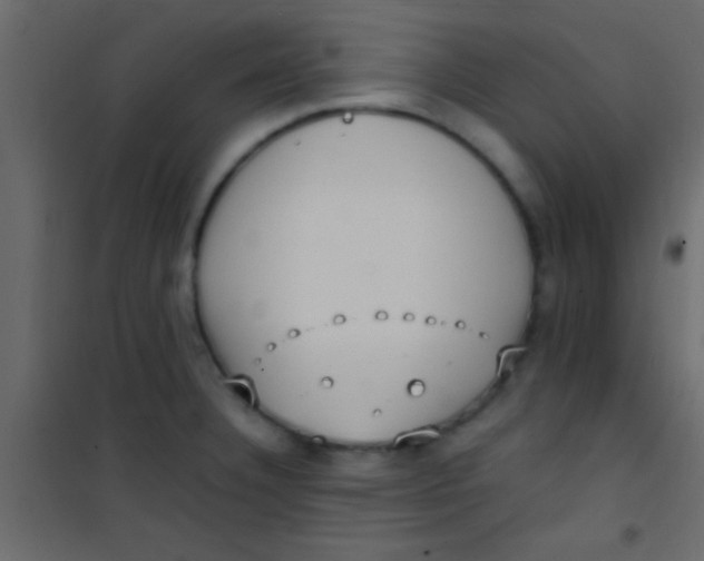 X0000101111332200807171927
